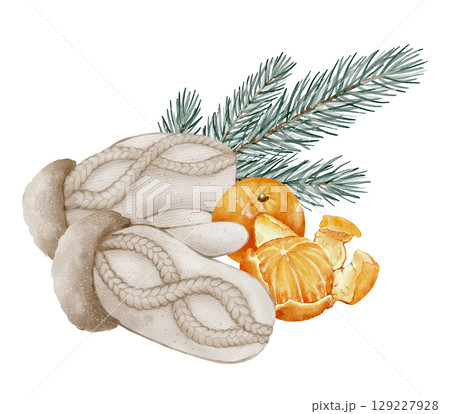 Wool mittens with tangerine and pine branch illustration Wool mittens with tangerine and pine branch illustration 129227928