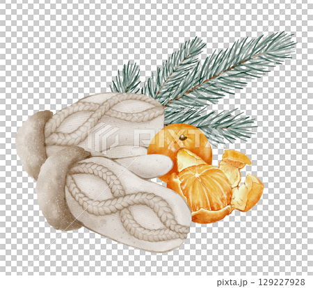 Wool mittens with tangerine and pine branch illustration 129227928