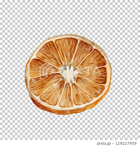 Dried citrus fruit slice illustration Dried citrus fruit slice illustration 129227959