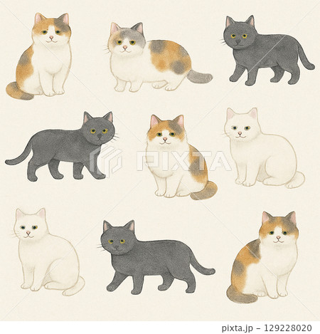 三毛猫や白猫などの可愛い猫パターン(アイボリー背景) 三毛猫や白猫などの可愛い猫パターン(アイボリー背景) 129228020
