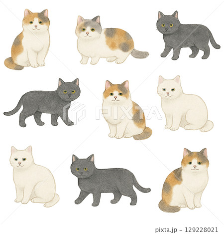 猫パターン（透過PNG） 129228021