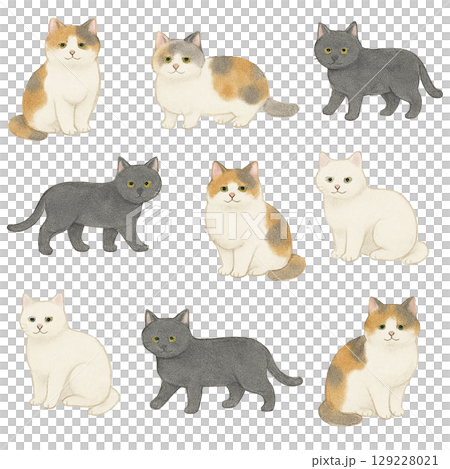 猫パターン（透過PNG） 129228021