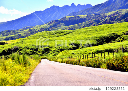 阿蘇パノラマライン(県道111号阿蘇吉田線)／正面に根子岳(熊本県阿蘇市)【2025.7】 129228231