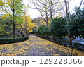 秋の紅葉が美しい公園 129228366