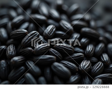 Extreme Macro of Raw Black Rice Grains with Uniform Arrangement and Subtle Lighting 129228888