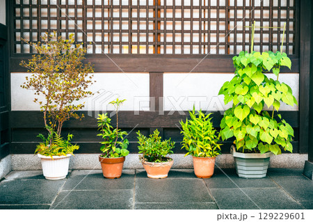 玄関先の植木鉢　飛騨高山 129229601