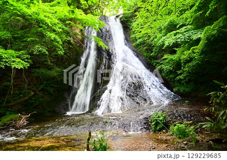 滝不動尊近くの緒ヶ瀬の滝（おがせのたき） 129229685