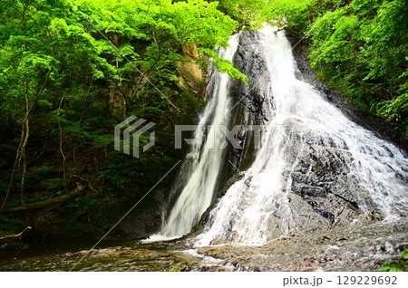 滝不動尊近くの緒ヶ瀬の滝（おがせのたき） 129229692