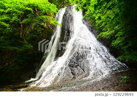 滝不動尊近くの緒ヶ瀬の滝（おがせのたき） 129229693