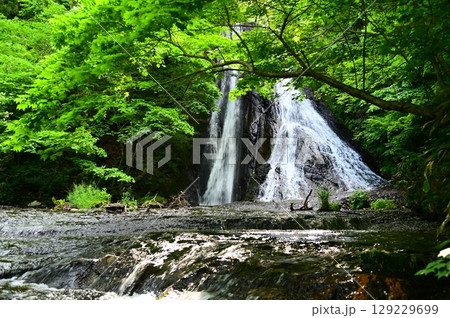 滝不動尊近くの緒ヶ瀬の滝（おがせのたき） 129229699