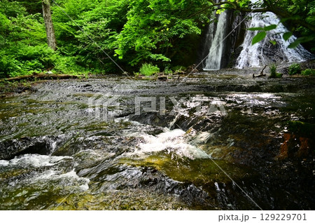 滝不動尊近くの緒ヶ瀬の滝（おがせのたき） 129229701