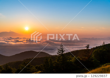 信州 夏の美ヶ原高原　道の駅から見る日の出と雲海 129229837