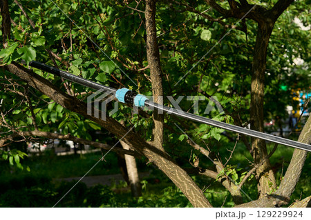 Connecting a rubber watering hose on tree in garden Connecting a rubber watering hose on tree in garden 129229924