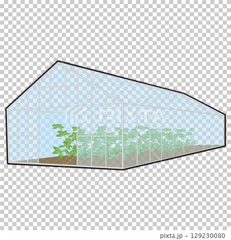 白い骨組みのビニールハウスで植物が育っているイラスト 129230080