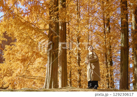 秋の紅葉の中を散歩する女性　ミドルエイジ 129230617