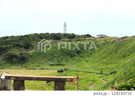 伊豆半島 爪木崎公園 伊豆半島 爪木崎公園 129230714