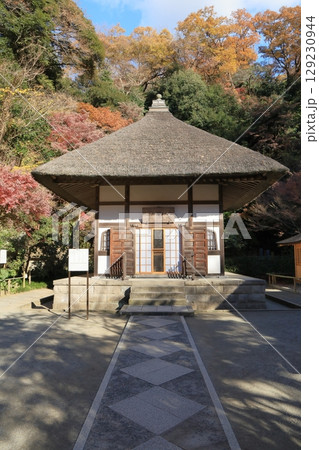 鎌倉 明月院 開山堂(收猷堂) 鎌倉 明月院 開山堂(收猷堂) 129230944