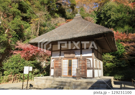 鎌倉　明月院　開山堂（收猷堂） 129231100