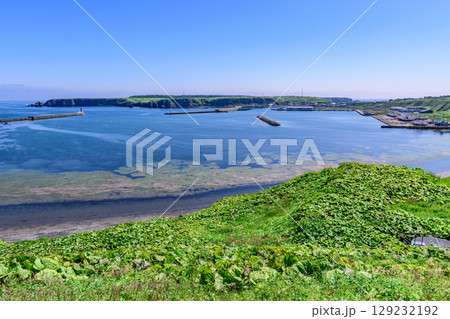 落石の町と海と山を望む、北海道根室市落石の風景 129232192