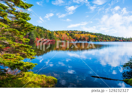 秋の白駒池 129232327