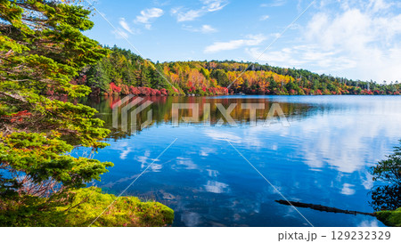 秋の白駒池 129232329