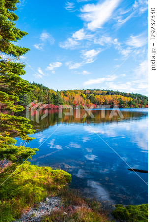 秋の白駒池 129232330