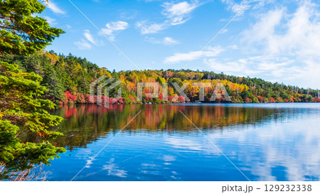 秋の白駒池 129232338