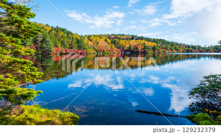 秋の白駒池 129232379