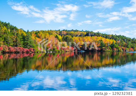 秋の白駒池 129232381