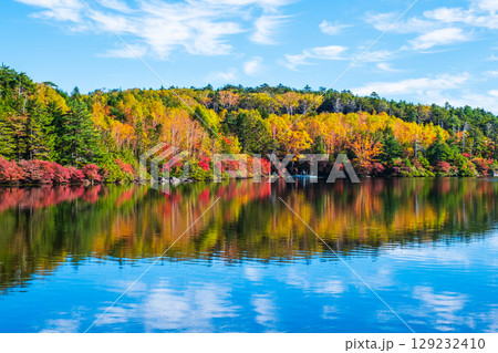 秋の白駒池 129232410