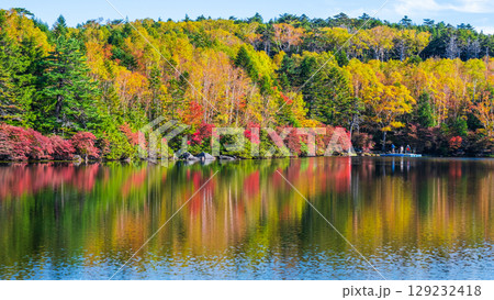 秋の白駒池 129232418