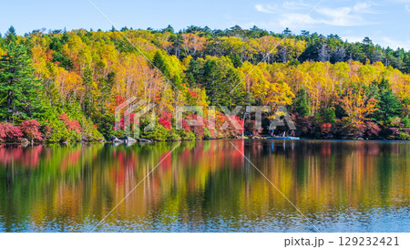 秋の白駒池 129232421