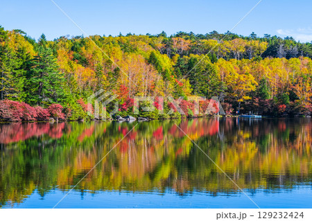 秋の白駒池 129232424