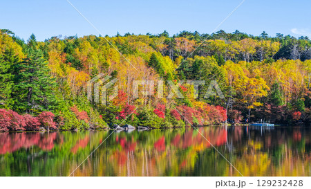 秋の白駒池 129232428