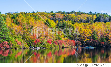 秋の白駒池 129232438