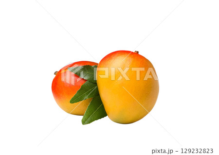Two bright mangoes with green leaves, isolated on white, PNG Two bright mangoes with green leaves, isolated on white, PNG 129232823