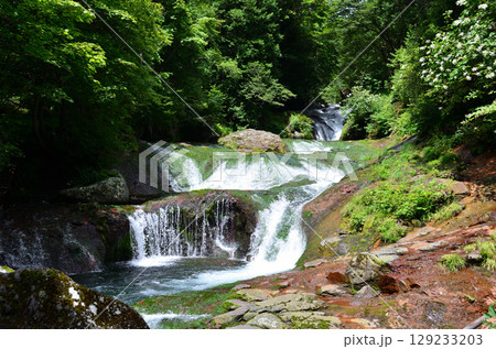 おしどり隠しの滝　奥蓼科　長野県 129233203