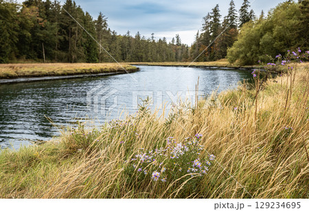 Beautiful summer landscape of a meadow near river and forest with blue sky and clouds. Scenic rural landscape. Autumn natural background in British Columbia Canada. Travel photo, nobody. Beautiful summer landscape of a meadow near river and forest with blue sky and clouds. Scenic rural landscape. Autumn natural background in British Columbia Canada. Travel photo, nobody. 129234695