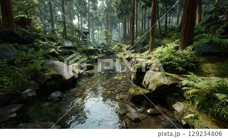 静かな森の中の川 静かな森の中の川 129234806