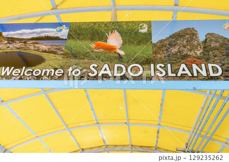 新潟県佐渡市　両津港の風景 129235262