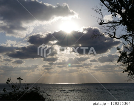 日没ビーチと草木 129235364
