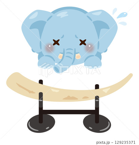 牙を失ったゾウと象牙の置物イラスト 129235371