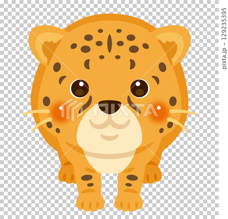 從正面看到的獵豹插圖 129235395