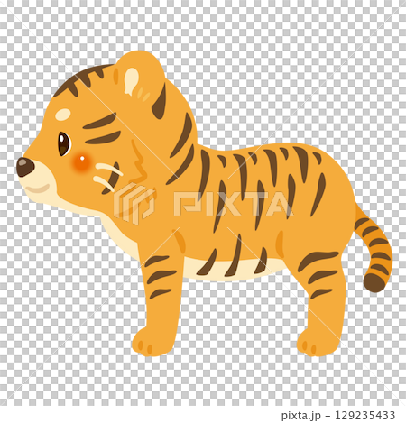 老虎的側面插圖 129235433