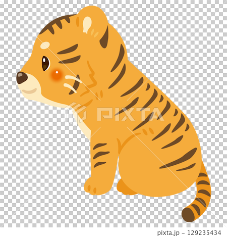 一隻坐著的老虎的側面插圖 129235434