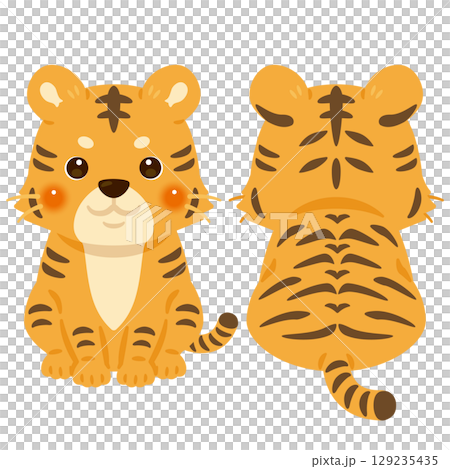 坐虎正面和背面插圖集 129235435