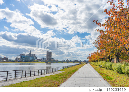 新潟県新潟市　秋の萬代橋周辺の風景 129235459