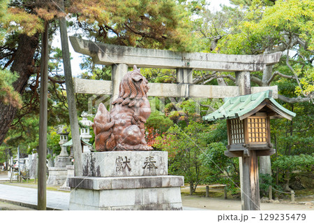 新潟県新潟市　白山神社 129235479