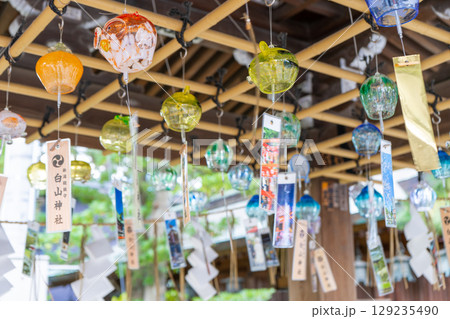 新潟県新潟市　白山神社 129235490