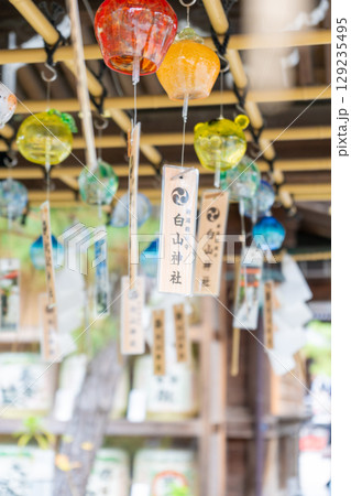 新潟県新潟市　白山神社 129235495